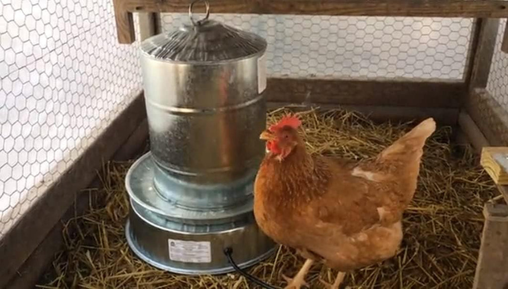 Chicken Water Heater Base Stainless Steel Heater B47565
