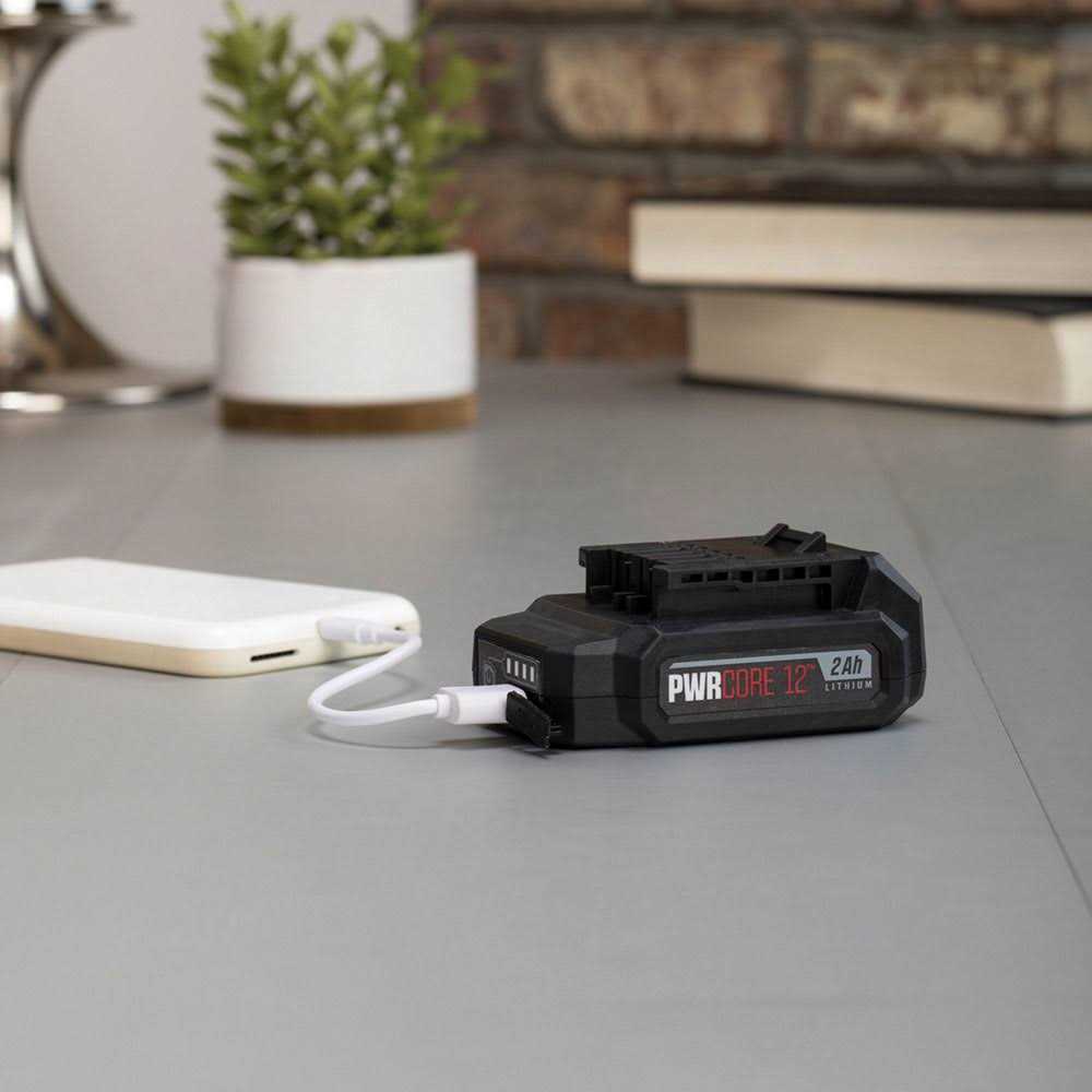 12V 2 Ah Lithium-Ion Battery Pack A100