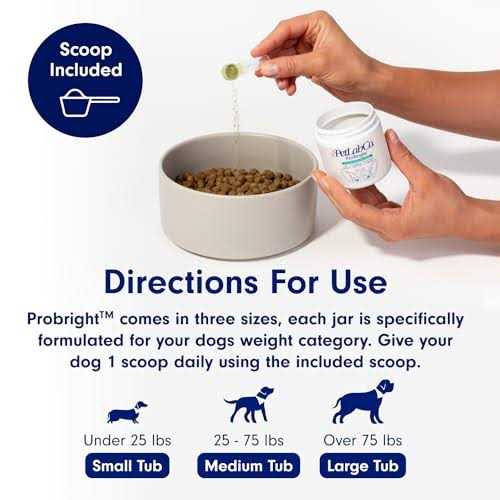 Dog Dental Powder V430
