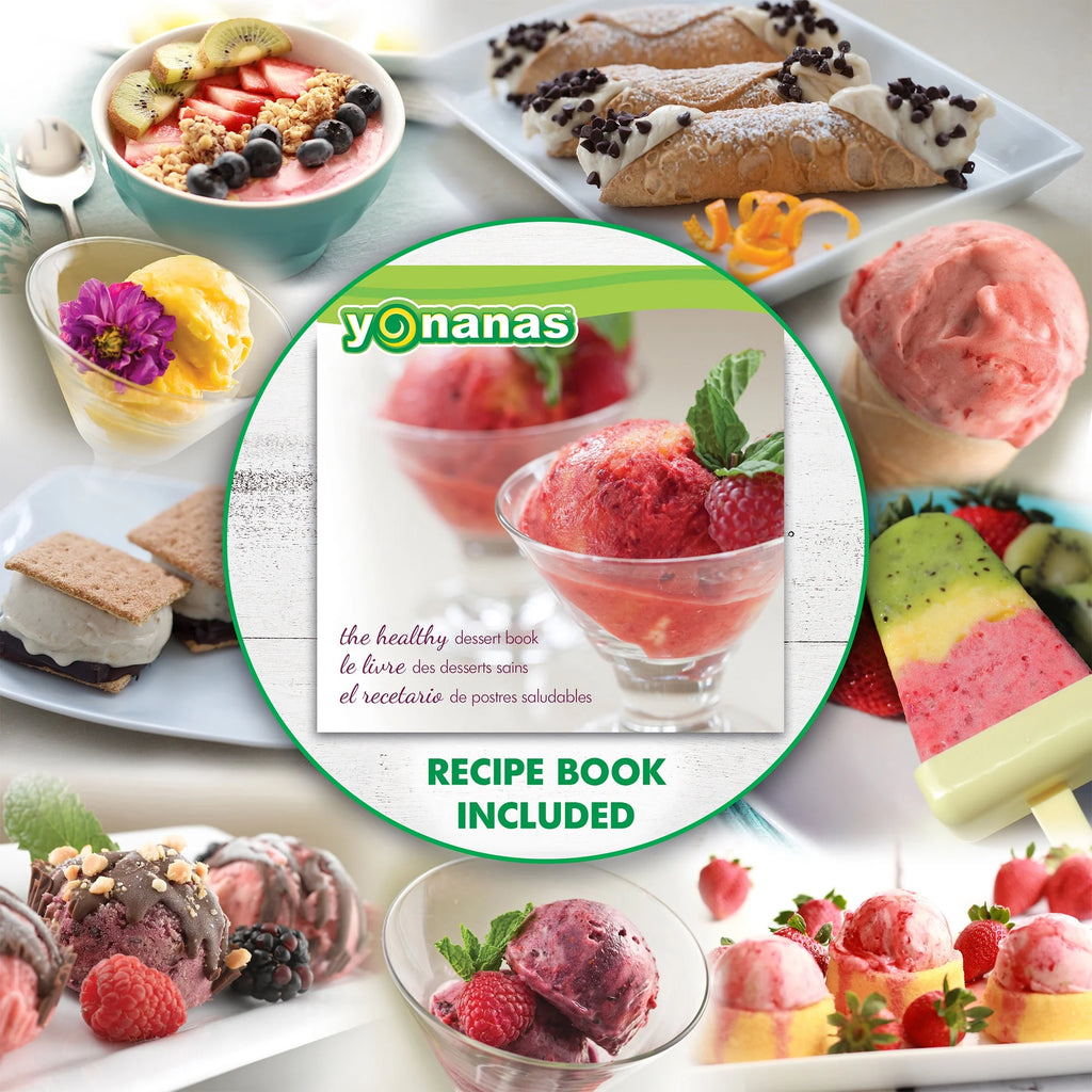 Red Frozen Fruit Dessert Maker with Recipe Book U313938
