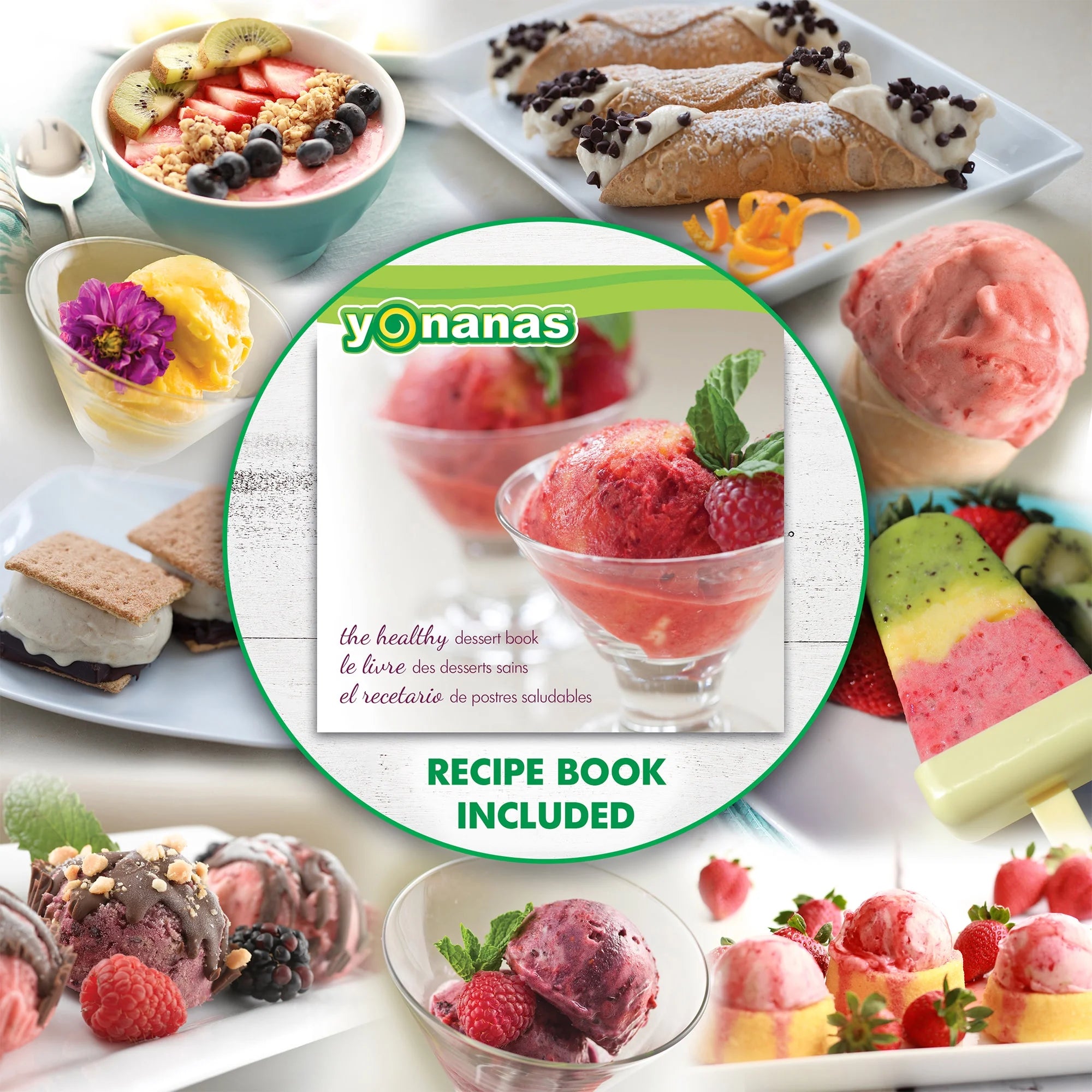 Red Frozen Fruit Dessert Maker with Recipe Book U313938