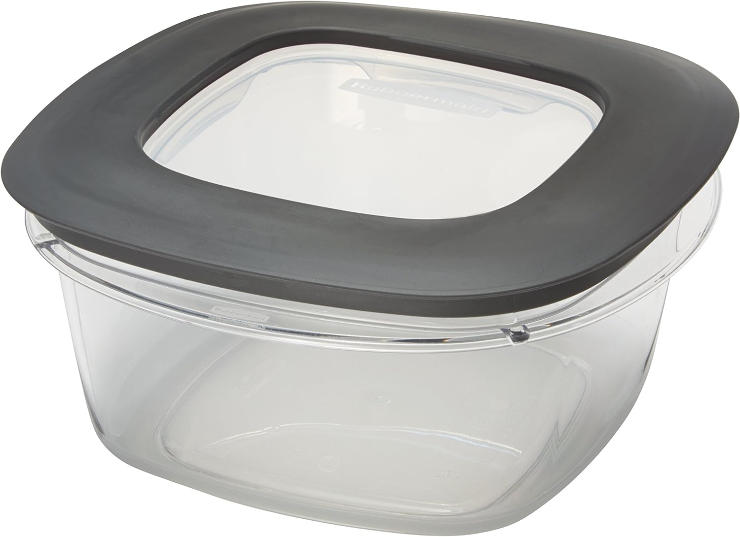 Grey 5-Cup Food Storage Container D161264