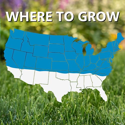 Blue Panther Kentucky Bluegrass Grass Seed (25 lb) F6990