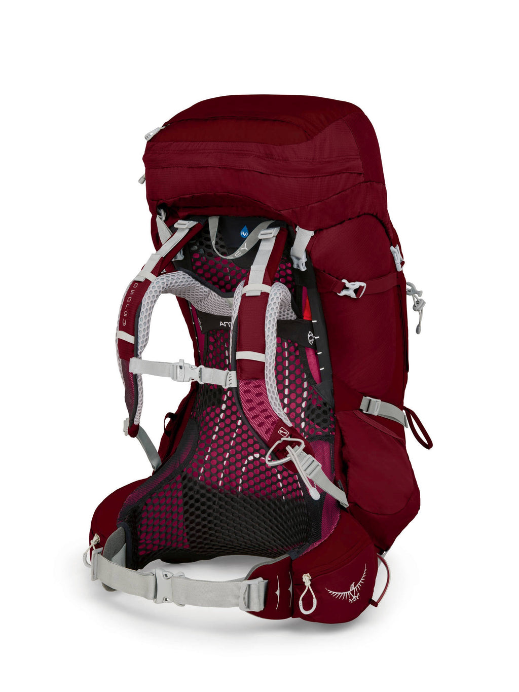 Gamma Red 65 Backpack X58306