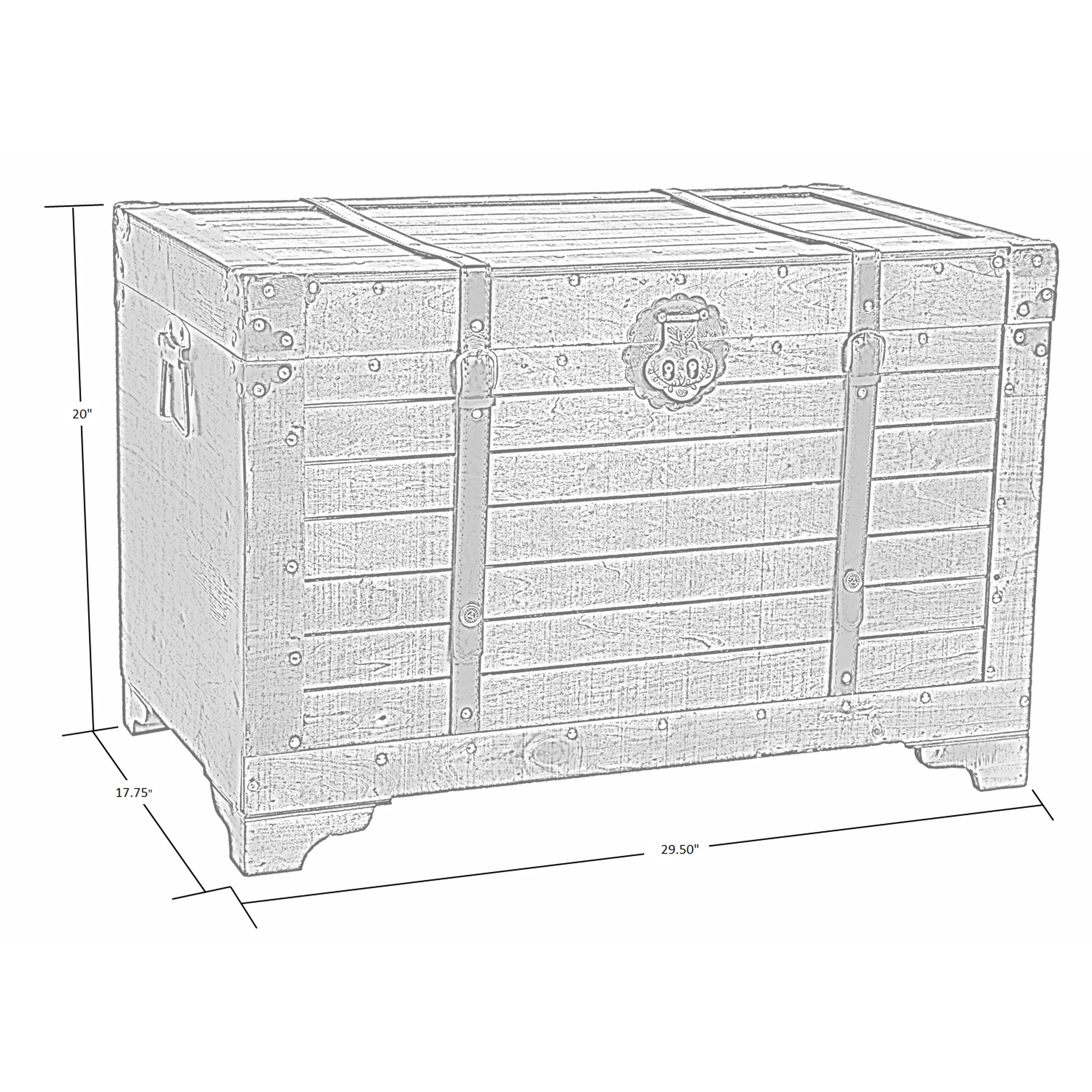 Large Natural Wood Storage Trunk and Coffee Table Y944