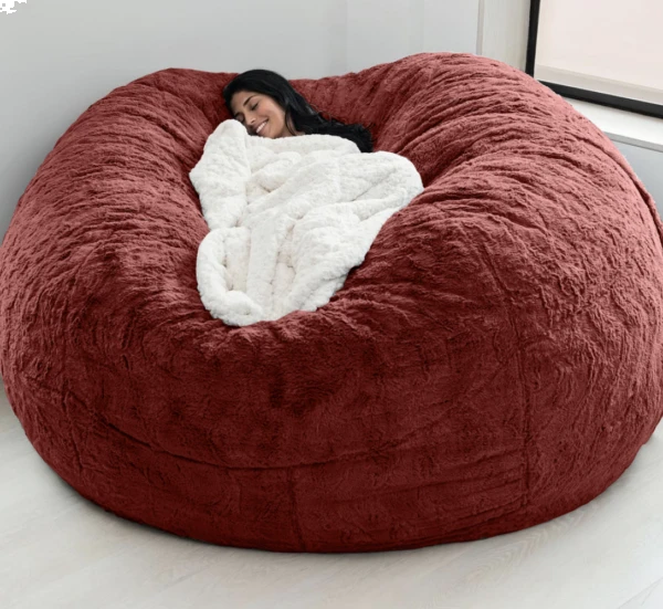 Giant Beanbag Includes Filler D858