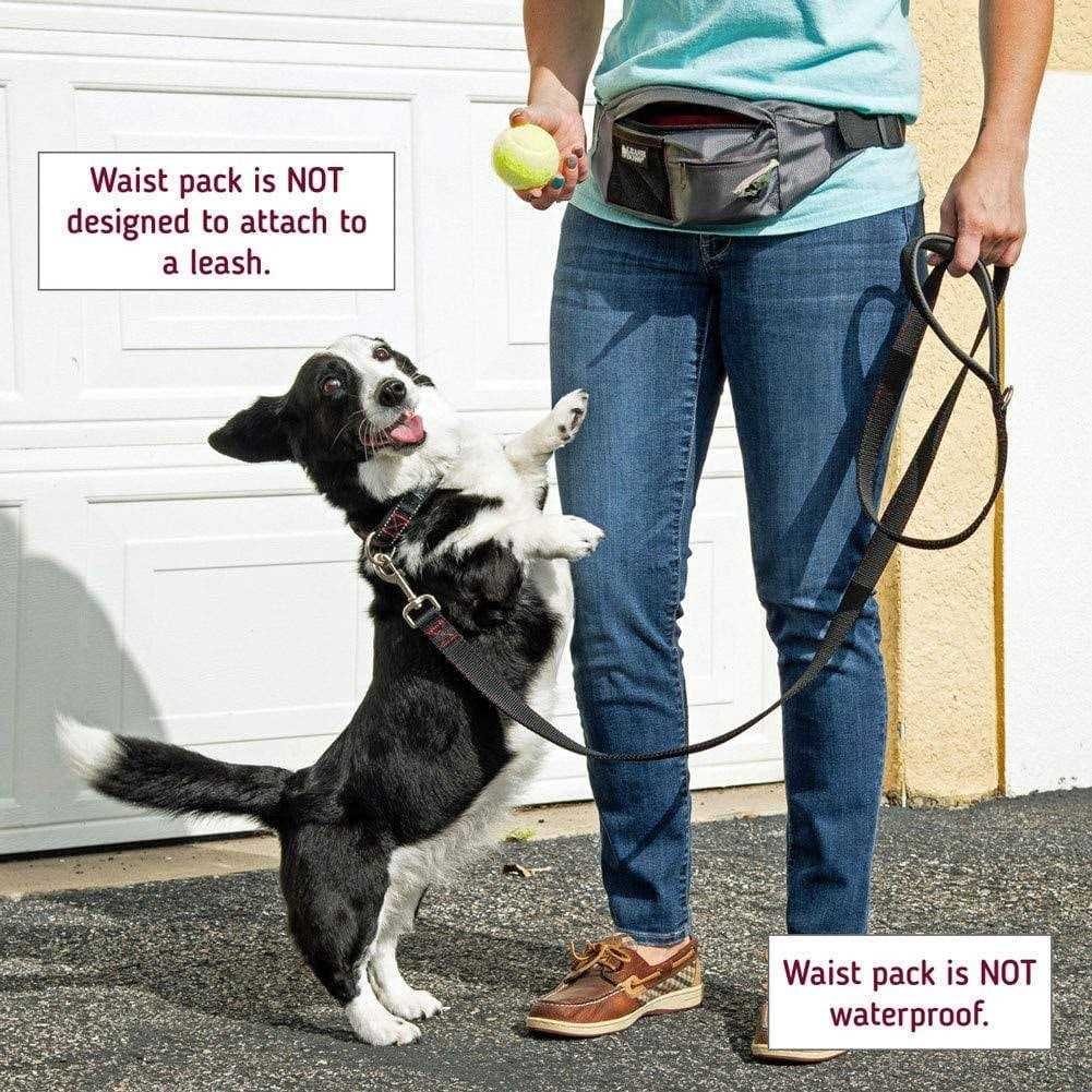 PackUp Pouch Dog Treat Training Pouch with Waste Bag Dispenser W869961