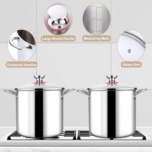10 Quart Stainless Steel Stock Pot with Lid W735