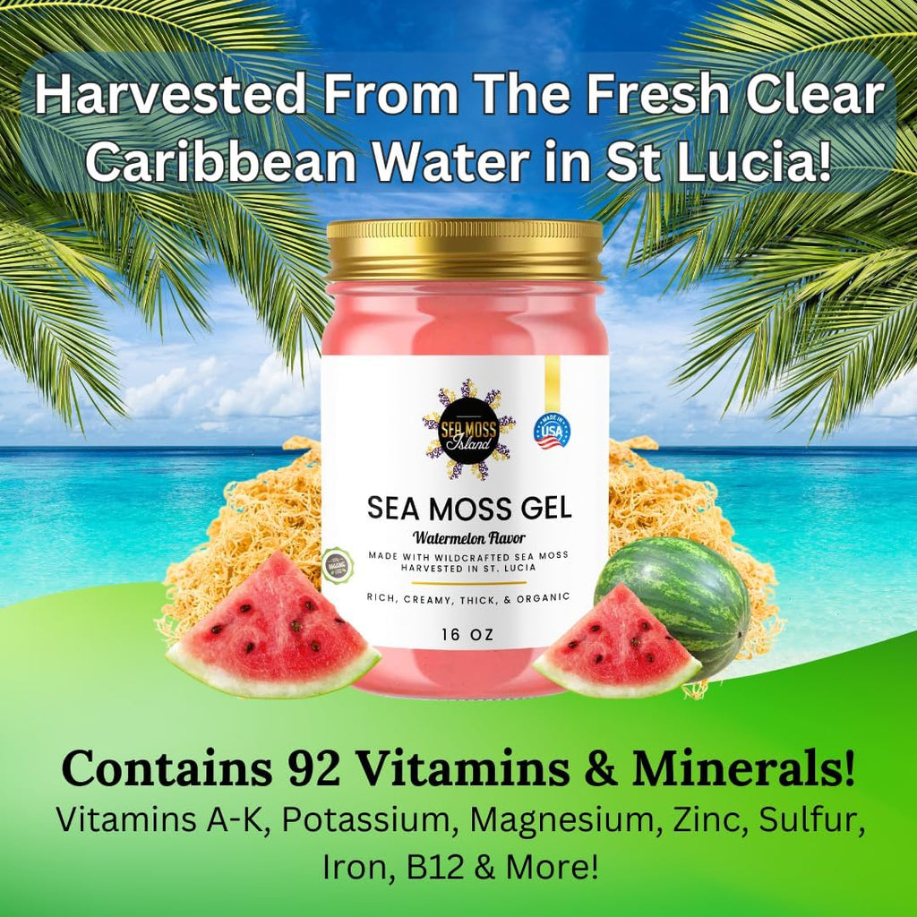 Watermelon Sea Moss Gel Wildcrafted Irish Seamoss Gel Vegan Vitamin Supplement - Pack of 1-16oz D831