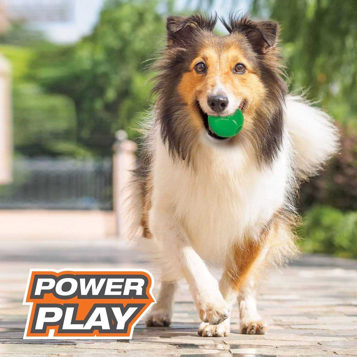 Gum-a-Ball Toy for Dogs I595