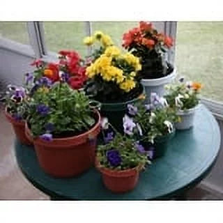 Case of 5 12 inch Terra Cotta Plastic Flower Pot with Saucers Y77538