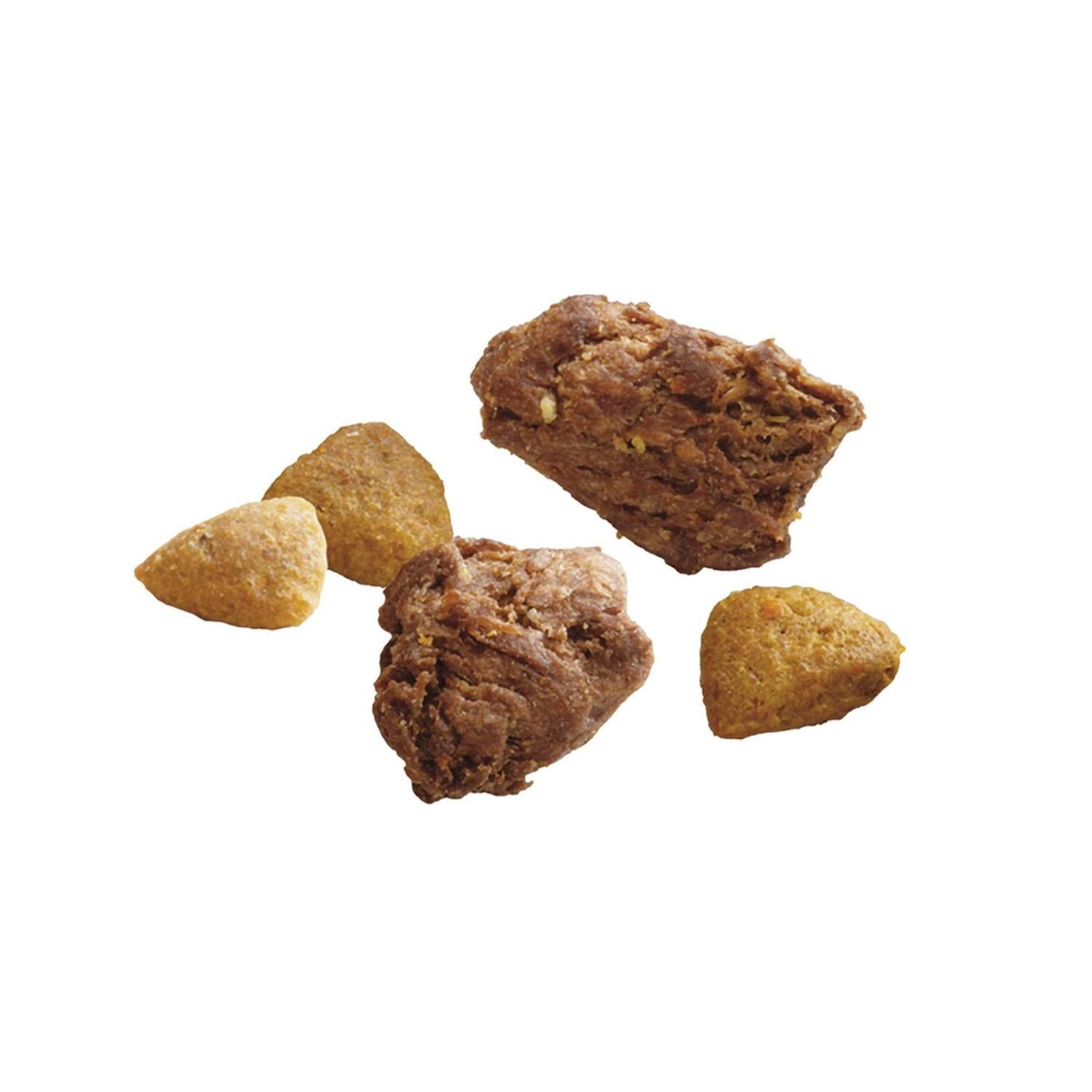 Real Turkey & Venison Dry Dog Food A741411