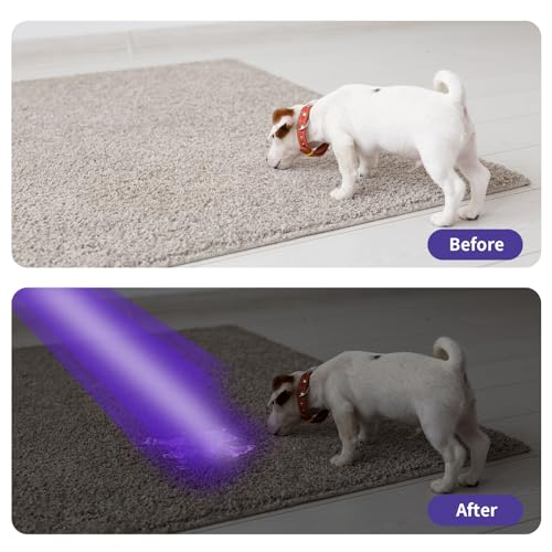 UV Black Light Flashlights, 4 Pack 395nm Mini Pen Lights with Clip, Waterproof Ultraviolet Flashlights Q186