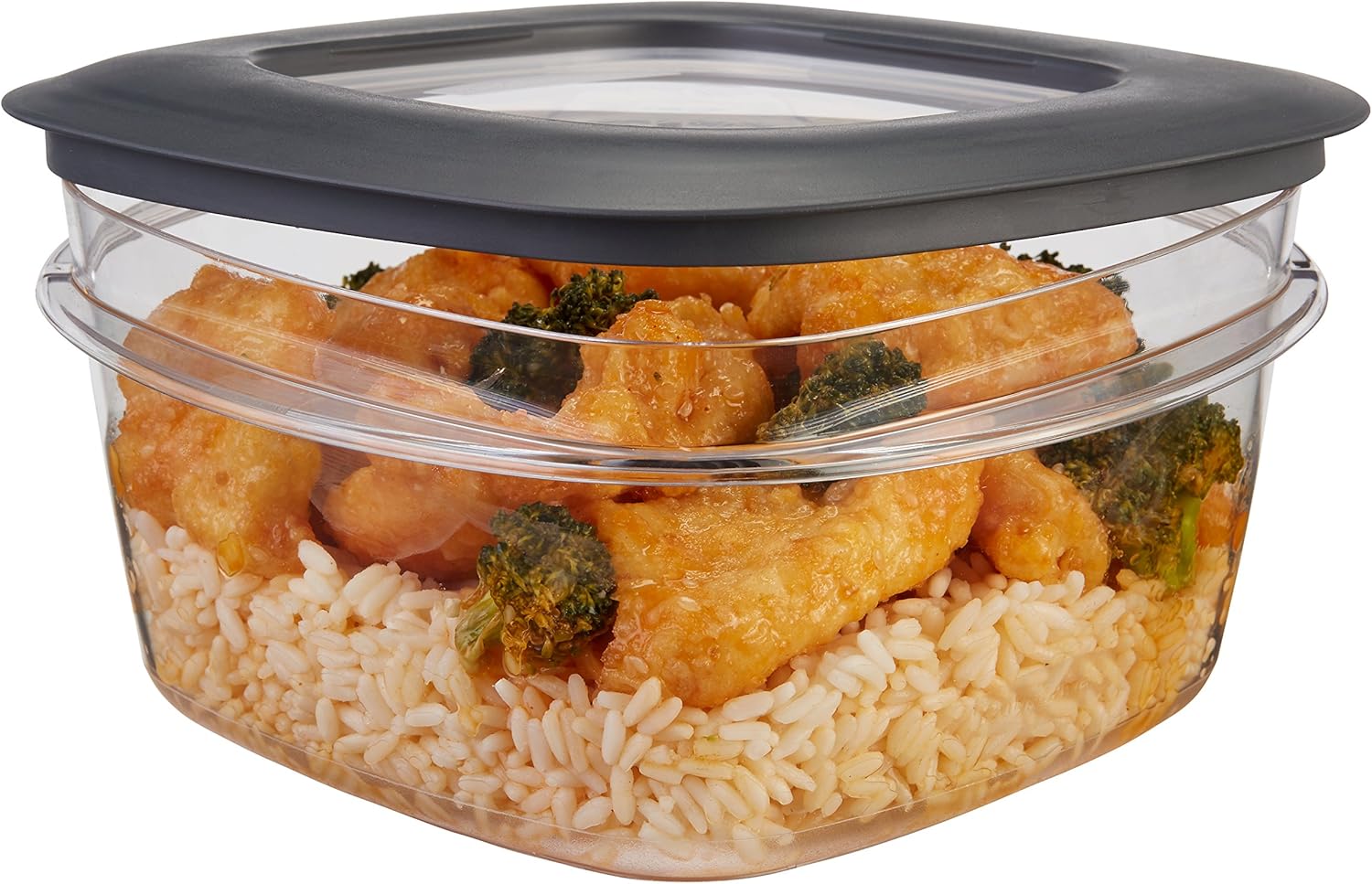 Grey 5-Cup Food Storage Container D161264