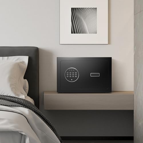 Black Small Biometric Safe Box with Fingerprint Lock L792737