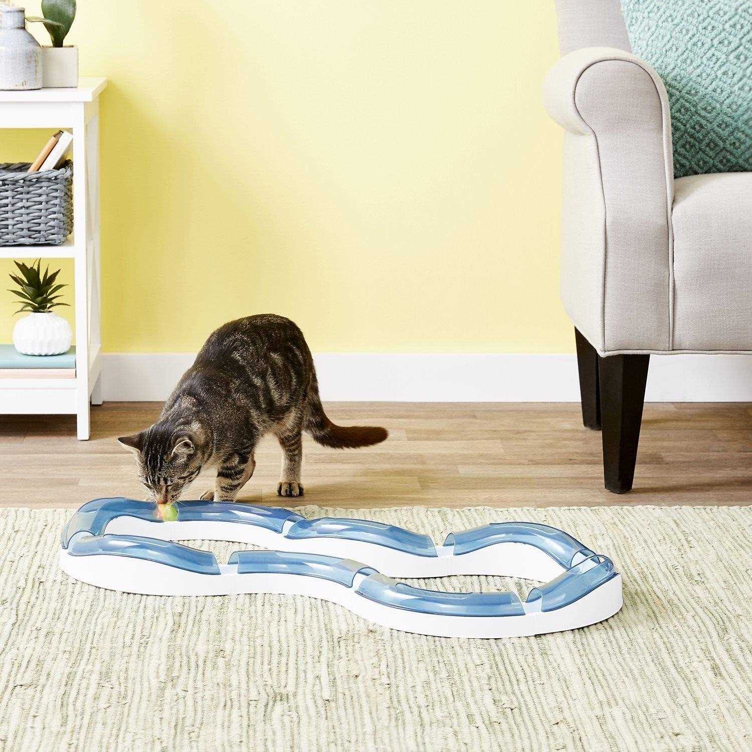 Super Roller Circuit Cat Toy H244