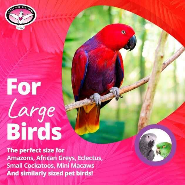 Bagel Cascade Bird Toy X275