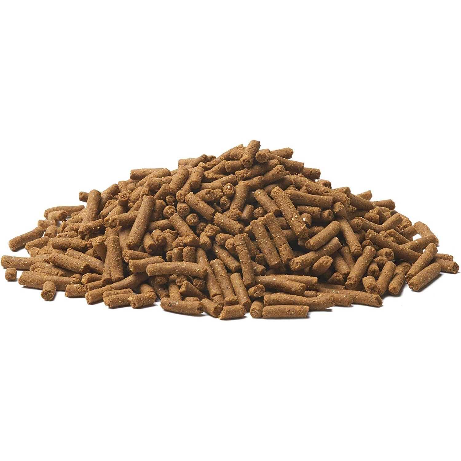 Small Breed Puppy Dry Dog Food B5997