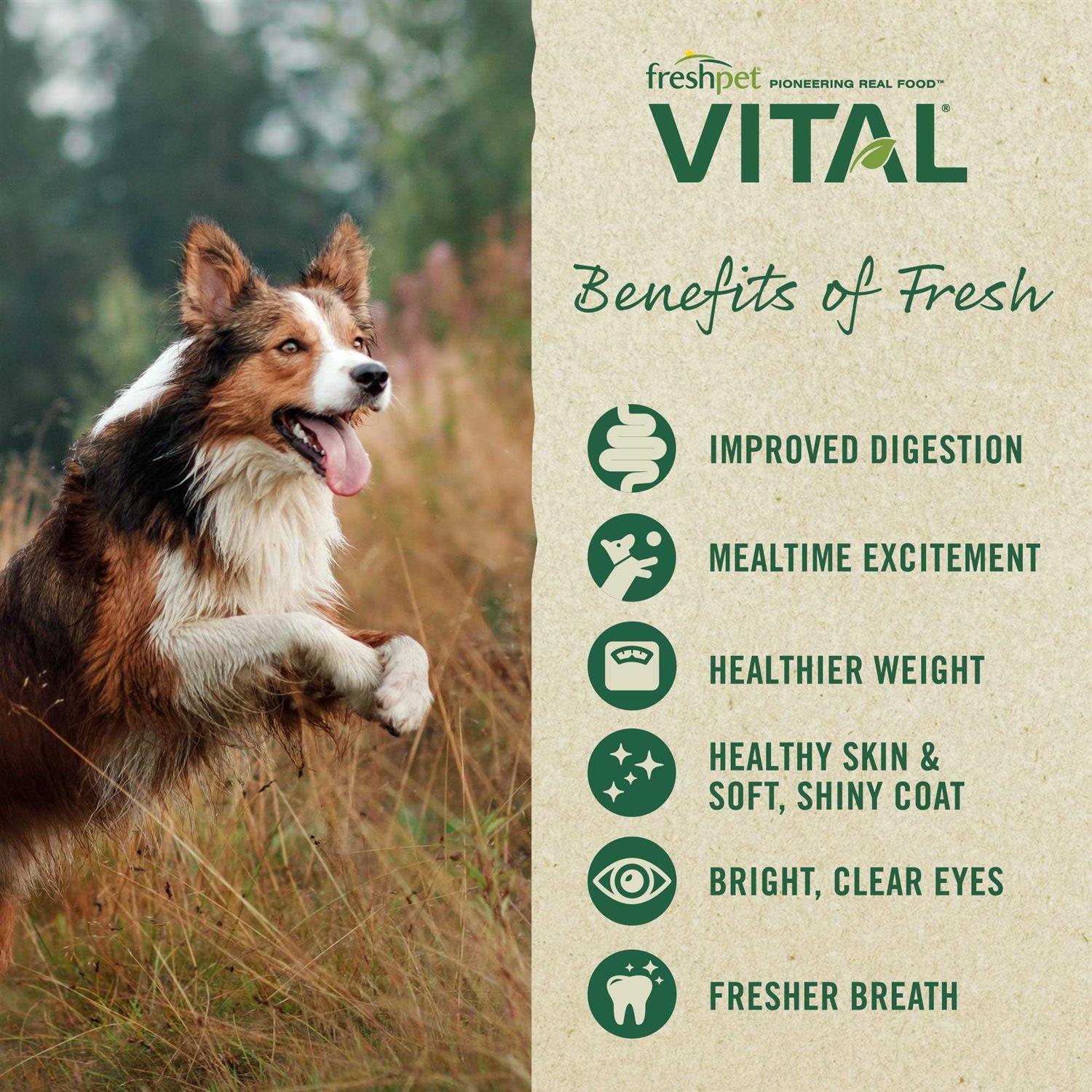 Grain-Free Beef & Bison Fresh Dog Food P440619