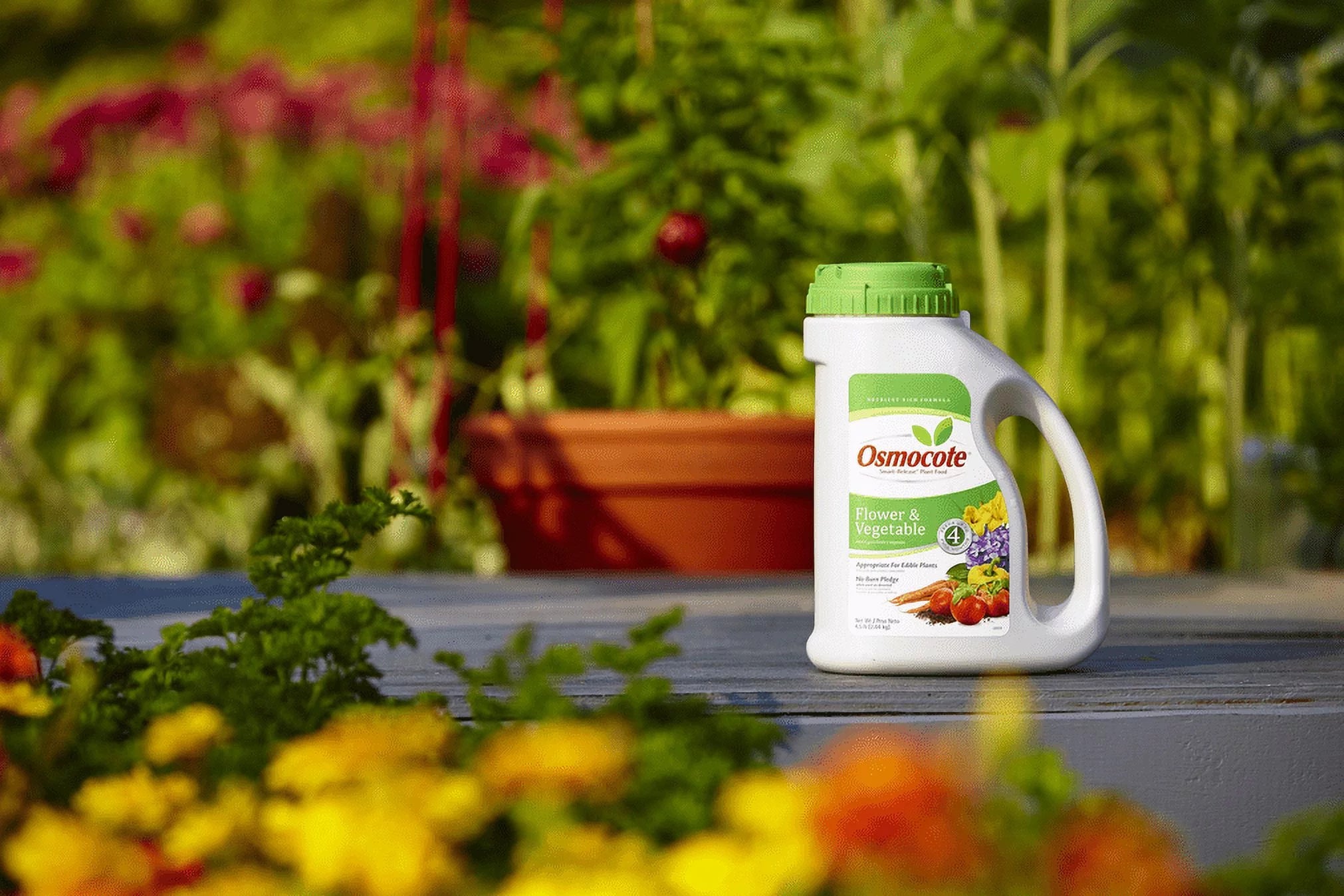4.5 lb. Plant Food C64145