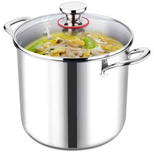 10 Quart Stainless Steel Stock Pot with Lid W735