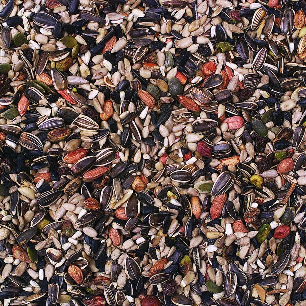 Wild Bird Food, 20 lb N4285