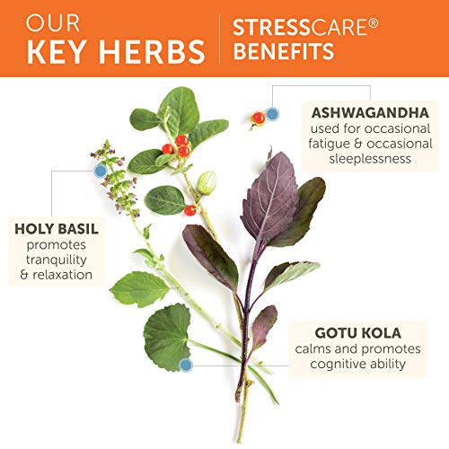 Herbal Supplement, Ashwagandha, Holy Basil, Gotu Kola, 240 Capsules M856