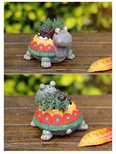 Turtle Resin Succulent Planter D645766