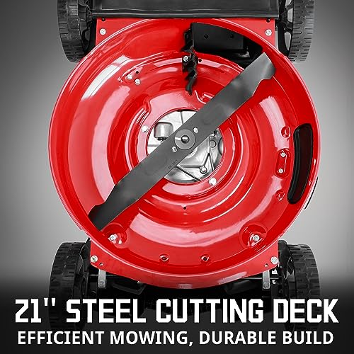 21in Gas Push Lawn Mower with 3-in-1 Mulch G202073