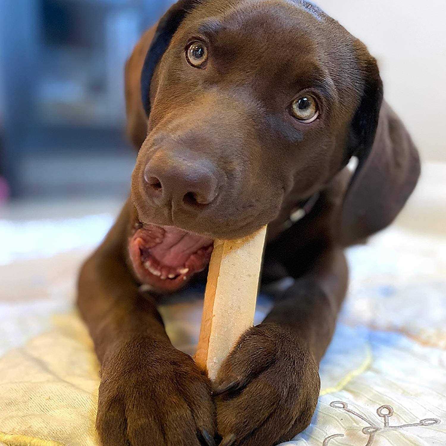 Yak Cheese Dog Chews D69571