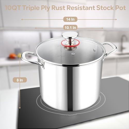 10 Quart Stainless Steel Stock Pot with Lid W735