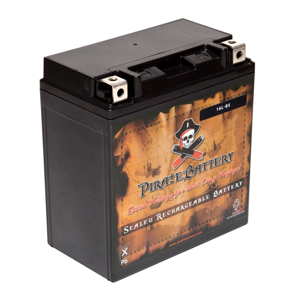YTX16L-BS 12 Volt 14 Ah 230 CCA ATV Battery E204
