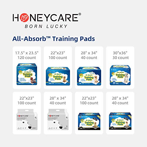 Training Pads, Blue, Large - 22" x 23" 200ct T8710
