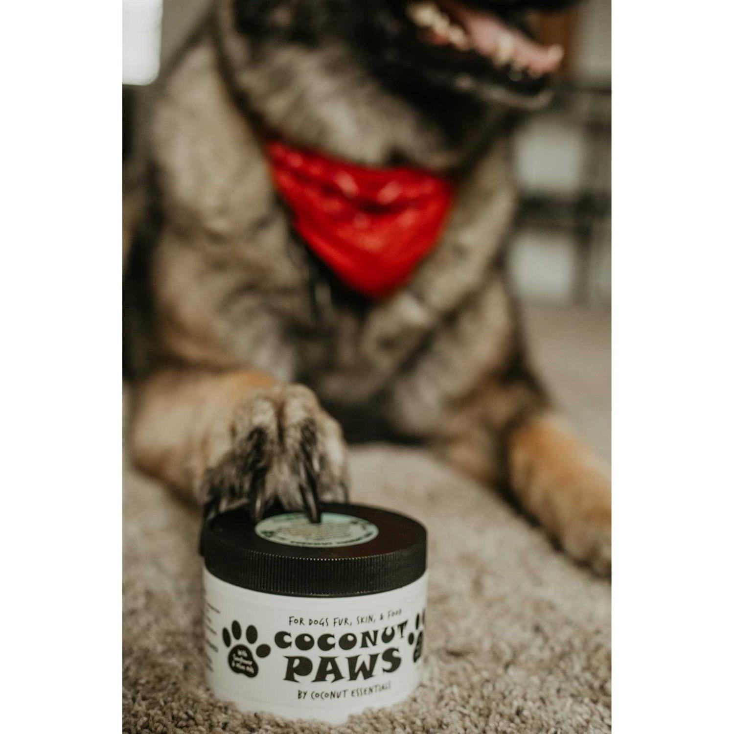 Organic Cold Pressed Unrefined Coconut Oil for Dogs Z37727