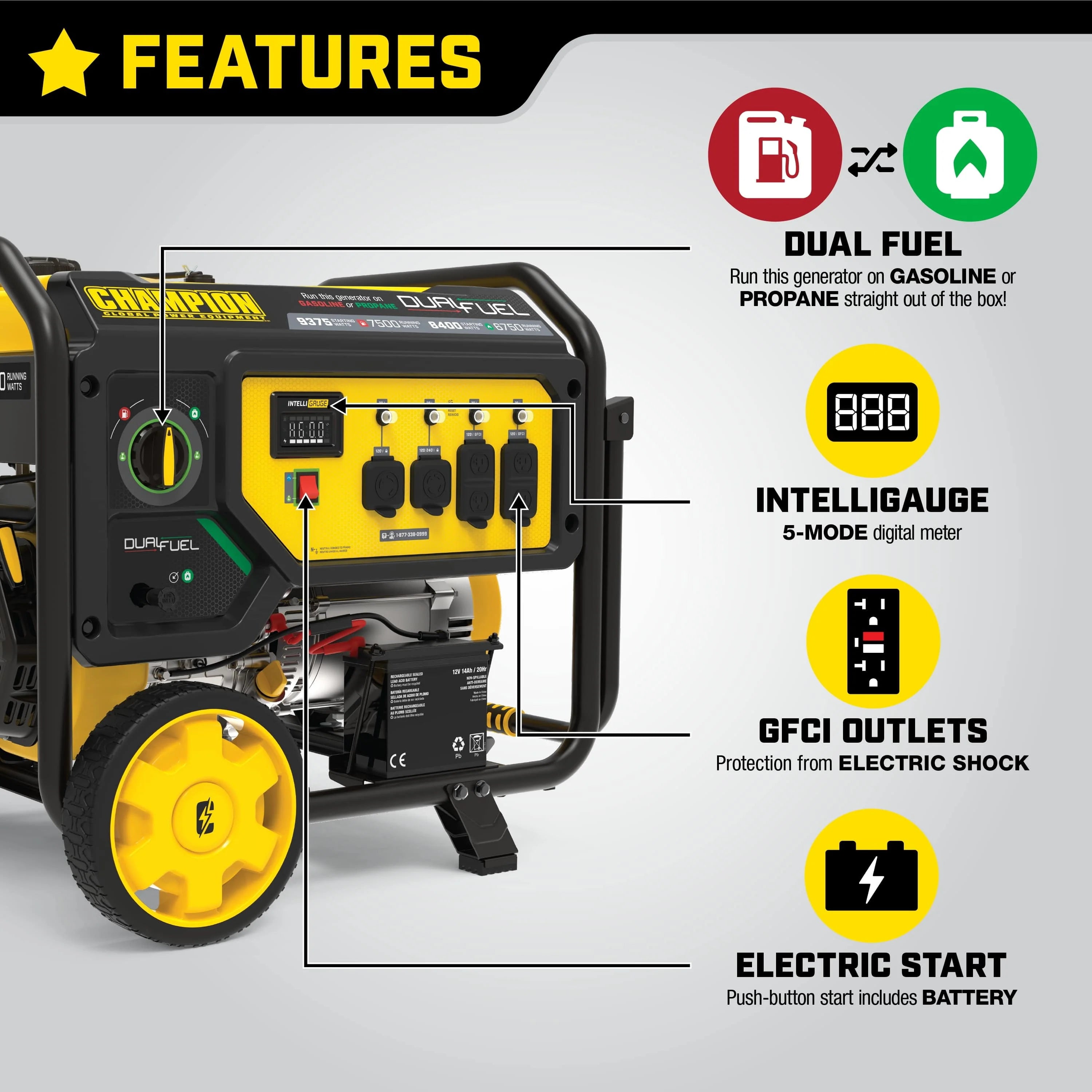 Dual Fuel Portable Generator with Electric Start Z471