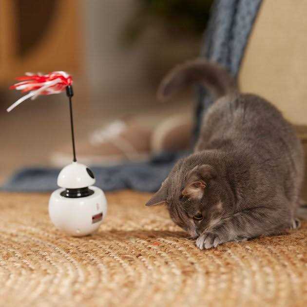 Laser Cat Toy with Sound H7933