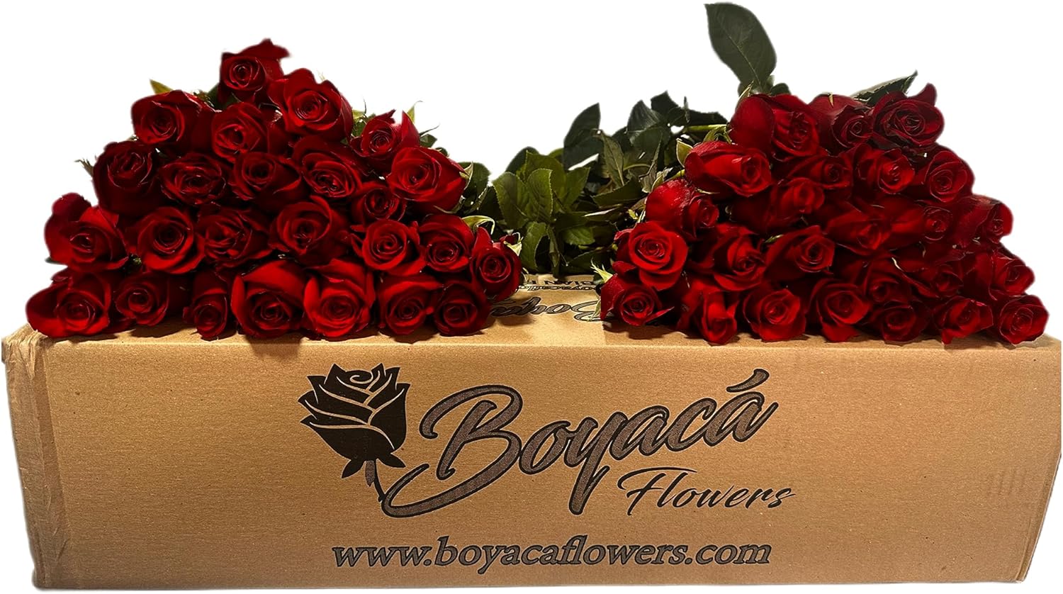 50 fresh long stem roses 19.7" A743