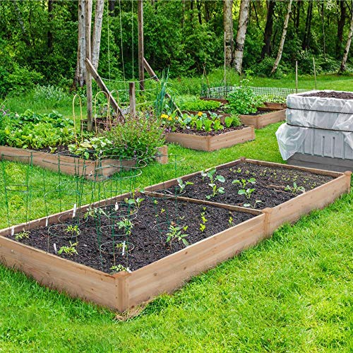 Natural Wood 8×2ft Raised Garden Bed Y5895