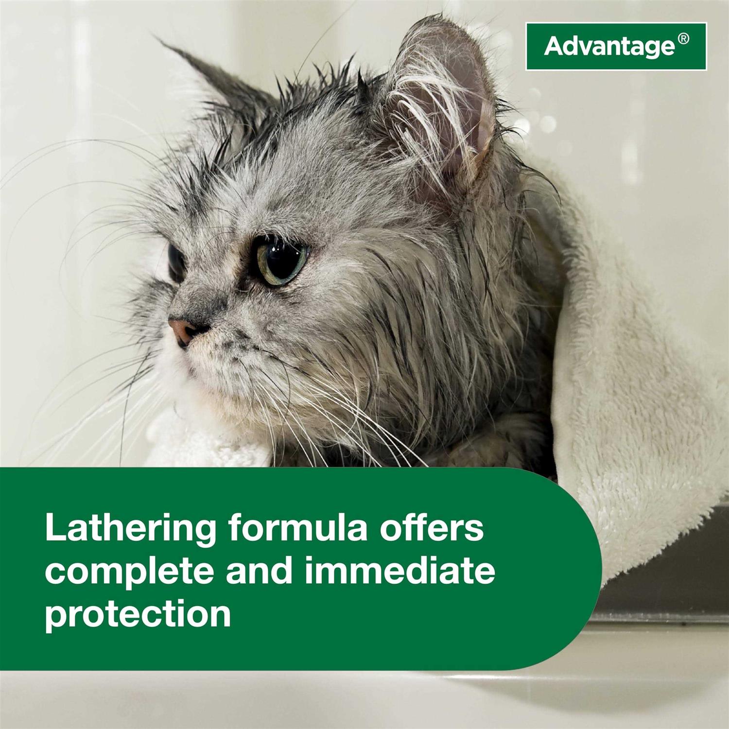 Flea & Tick Treatment Shampoo for Cats & Kittens S530936