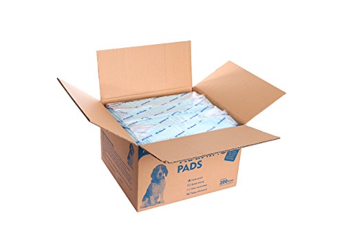 Training Pads, Blue, Large - 22" x 23" 200ct T8710