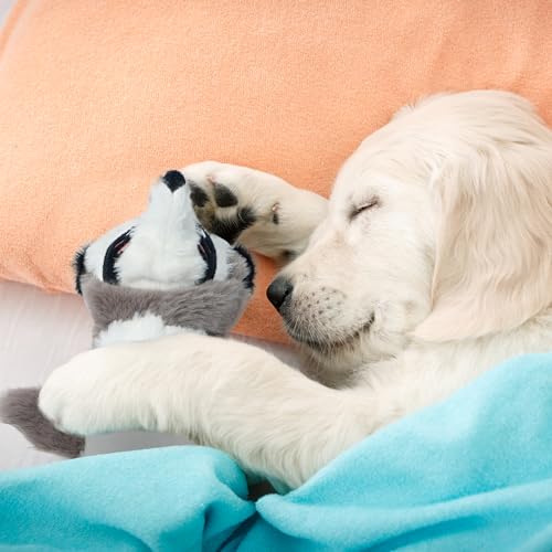 2-in-1 Crinkle Dog Toys, 20.5" Large Size Stuffless Dog Toys R4925