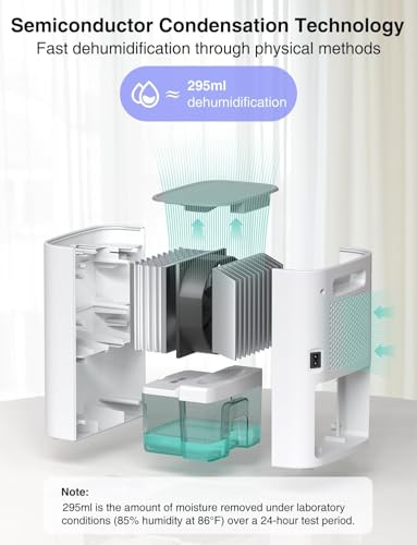 30 OZ Mini Quiet Dehumidifier R853