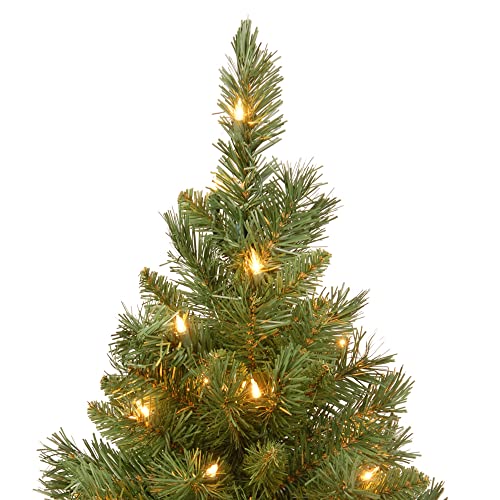24 in Pre-Lit Artificial Christmas Tree, 35 Clear Lights, Red Cloth Base, Green W88962