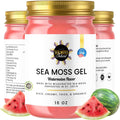 Watermelon Sea Moss Gel Wildcrafted Irish Seamoss Gel Vegan Vitamin Supplement - Pack of 1-16oz D831