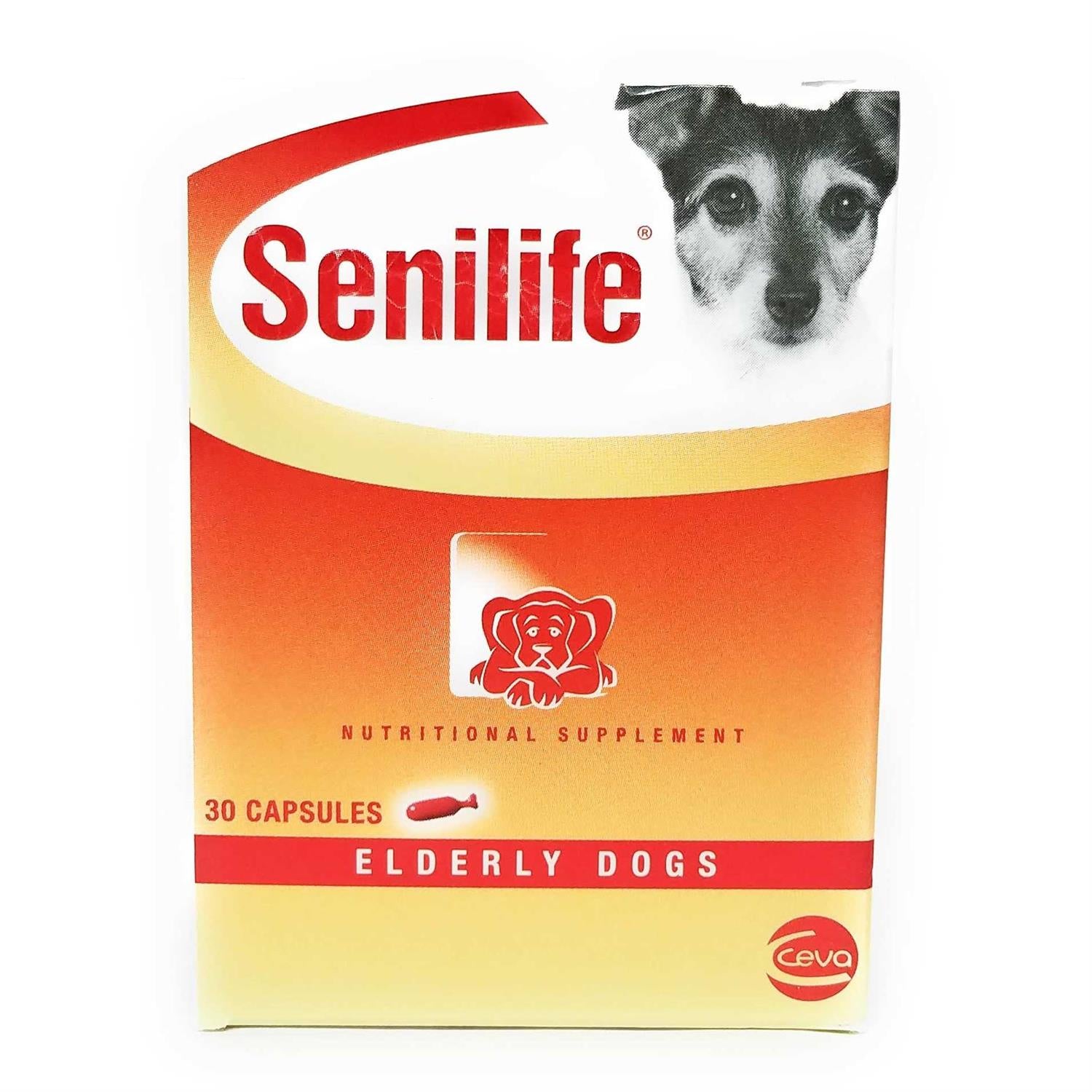 Nutritional Supplement for Elderly Dogs W921