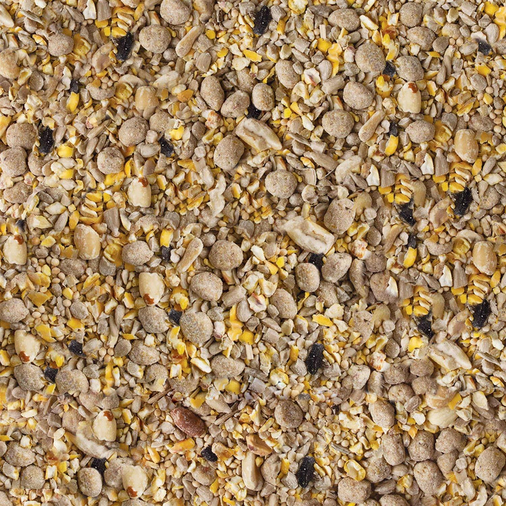 No Mess Bird Food J714744