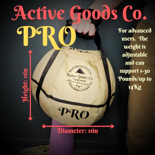 Kettlebell Sandbag F689