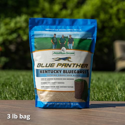 Blue Panther Kentucky Bluegrass Grass Seed (25 lb) F6990