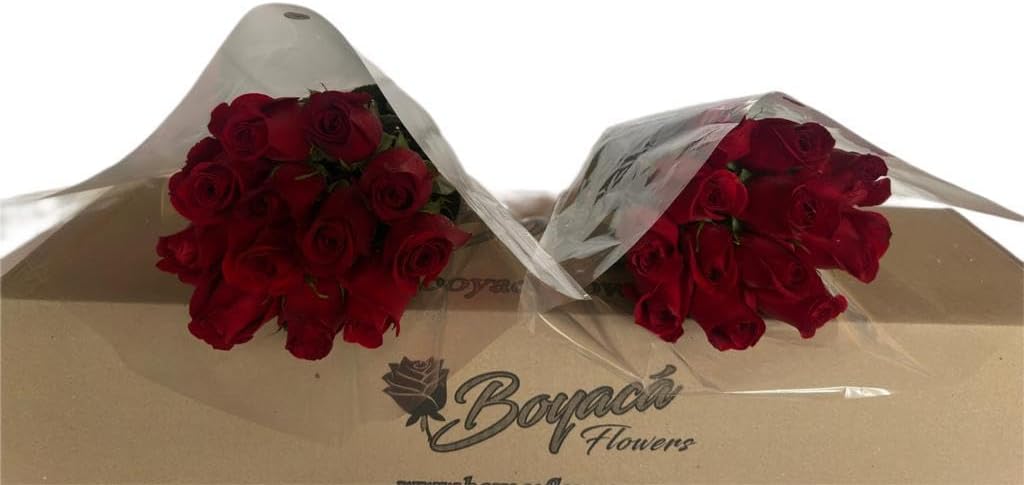 50 fresh long stem roses 19.7" A743