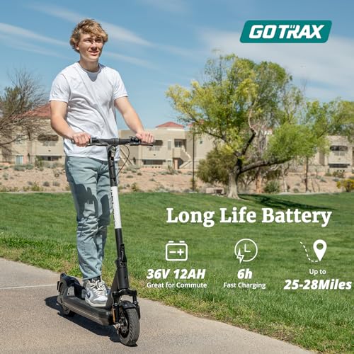 500W Motor 10" Solid Tire Foldable Electric Scooter N616